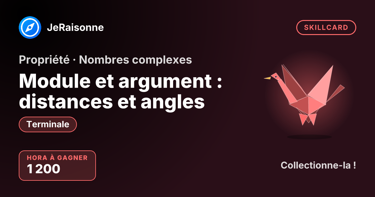 SKILLCARD « Module et argument : distances et angles » — Terminale